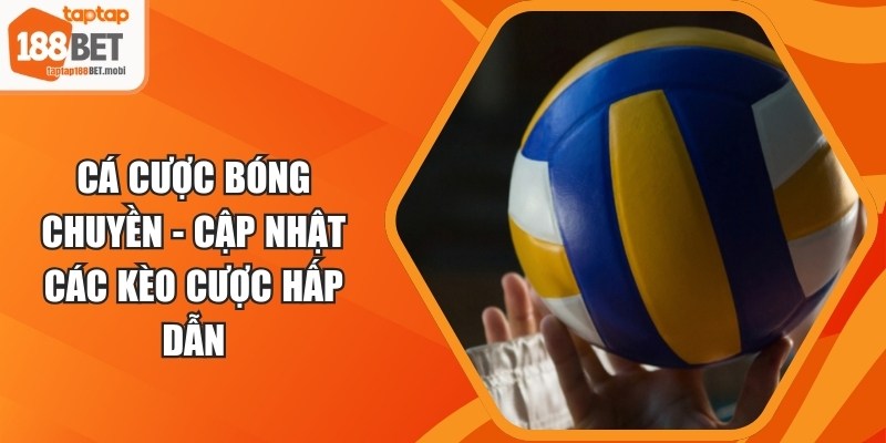 Cá Cược Bóng Chuyền - Cập Nhật Các Kèo Cược Hấp Dẫn 6 Cá Cược Bóng Chuyền